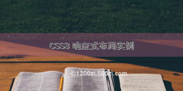 CSS3 响应式布局实例