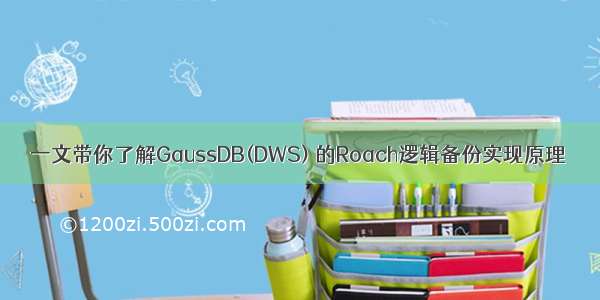 一文带你了解GaussDB(DWS) 的Roach逻辑备份实现原理