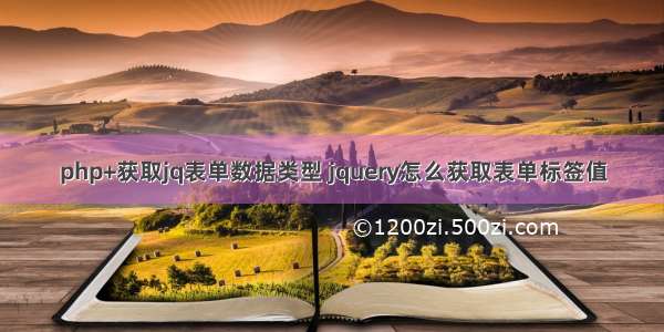 php+获取jq表单数据类型 jquery怎么获取表单标签值