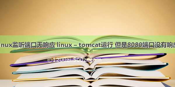 linux监听端口无响应 linux – tomcat运行 但是8080端口没有响应