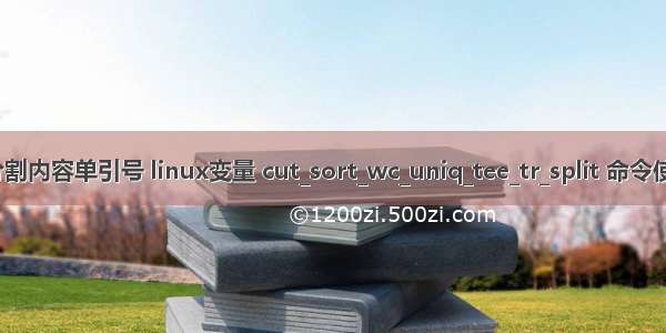 linux分割内容单引号 linux变量 cut_sort_wc_uniq_tee_tr_split 命令使用方法