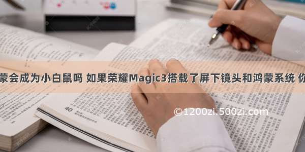 现在更新鸿蒙会成为小白鼠吗 如果荣耀Magic3搭载了屏下镜头和鸿蒙系统 你会做第一批