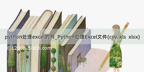 python处理excel的书_Python处理Excel文件(csv  xls  xlsx)