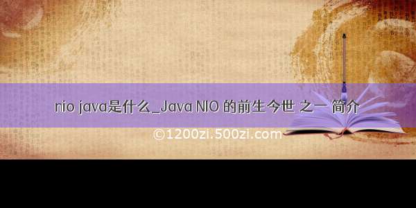 nio java是什么_Java NIO 的前生今世 之一 简介