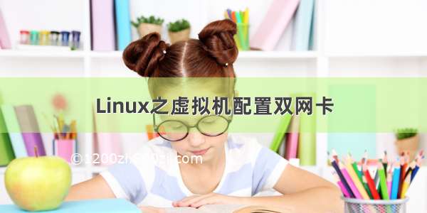 Linux之虚拟机配置双网卡