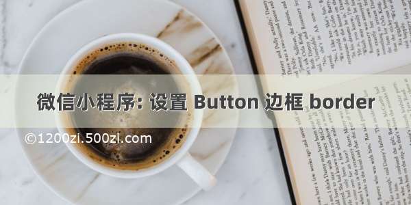 微信小程序: 设置 Button 边框 border