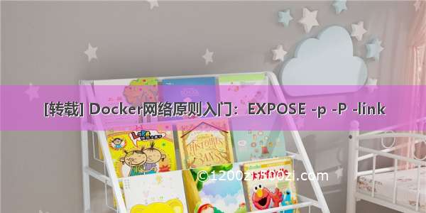 [转载] Docker网络原则入门：EXPOSE -p -P -link