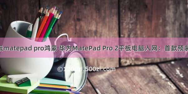 华为平板matepad pro鸿蒙 华为MatePad Pro 2平板电脑入网：首款预装鸿蒙OS