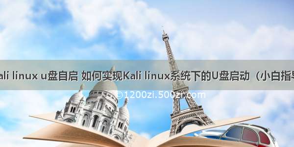 kali linux u盘自启 如何实现Kali linux系统下的U盘启动（小白指导）