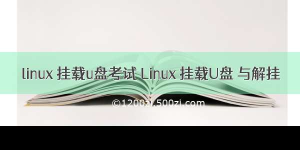 linux 挂载u盘考试 Linux 挂载U盘 与解挂