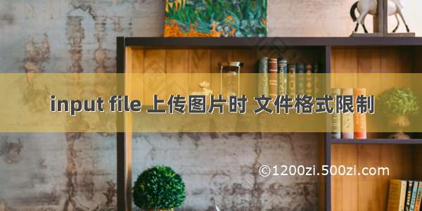 input file 上传图片时 文件格式限制