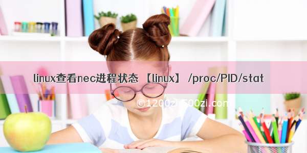 linux查看nec进程状态 【linux】 /proc/PID/stat