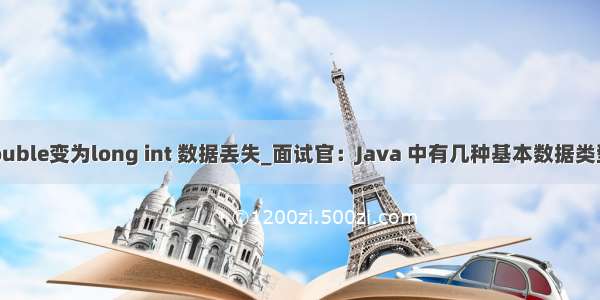 c++ 从double变为long int 数据丢失_面试官：Java 中有几种基本数据类型是什么？