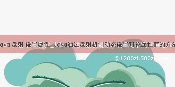 java 反射 设置属性_Java通过反射机制动态设置对象属性值的方法