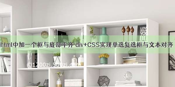 html中加一个框与底部平齐 div+CSS实现单选复选框与文本对齐