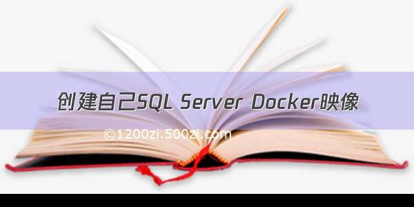 创建自己SQL Server Docker映像