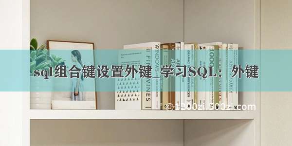 sql组合键设置外键_学习SQL：外键