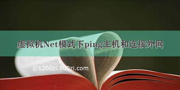 虚拟机Net模式下ping主机和连接外网