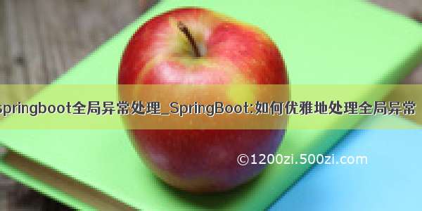 springboot全局异常处理_SpringBoot:如何优雅地处理全局异常
