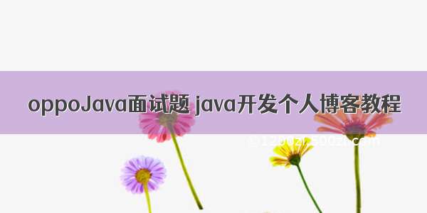 oppoJava面试题 java开发个人博客教程