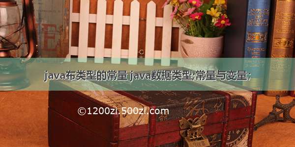 java布类型的常量 java数据类型;常量与变量；