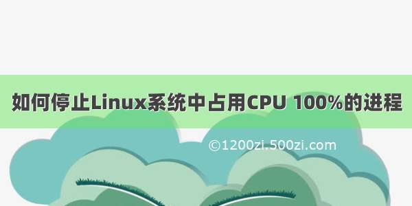 如何停止Linux系统中占用CPU 100%的进程