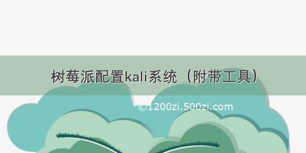 树莓派配置kali系统（附带工具）