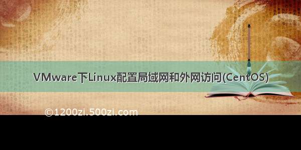 VMware下Linux配置局域网和外网访问(CentOS)