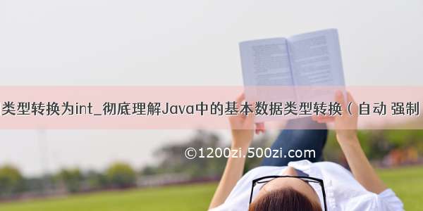 char强制类型转换为int_彻底理解Java中的基本数据类型转换（自动 强制 提升）...