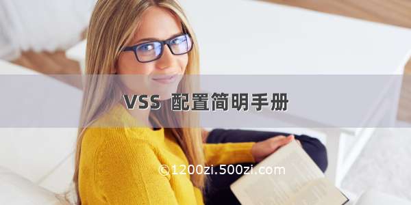 VSS  配置简明手册