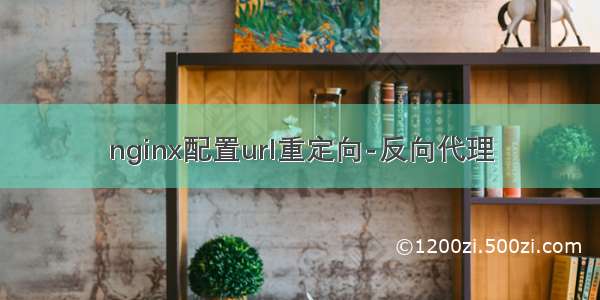 nginx配置url重定向-反向代理