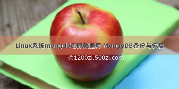 Linux系统mongdb还原数据库 MongoDB备份与恢复