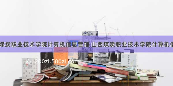 山西煤炭职业技术学院计算机信息管理 山西煤炭职业技术学院计算机信息系