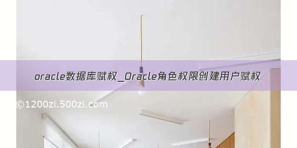 oracle数据库赋权_Oracle角色权限创建用户赋权