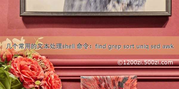 几个常用的文本处理shell 命令：find grep sort uniq sed awk