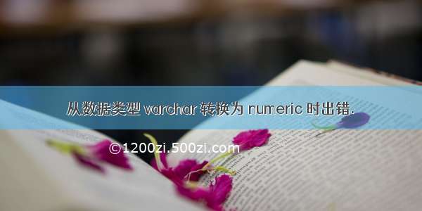 从数据类型 varchar 转换为 numeric 时出错.