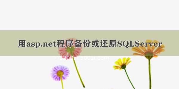 用asp.net程序备份或还原SQLServer