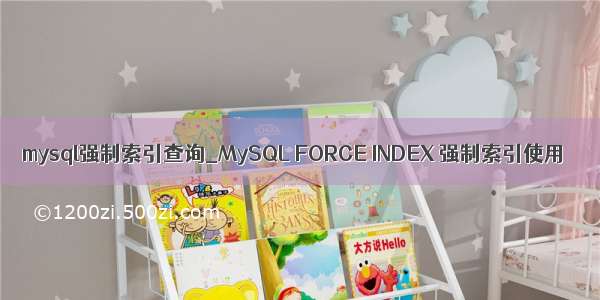 mysql强制索引查询_MySQL FORCE INDEX 强制索引使用