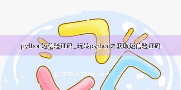 python短信验证码_玩转python之获取短信验证码