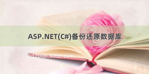 ASP.NET(C#)备份还原数据库