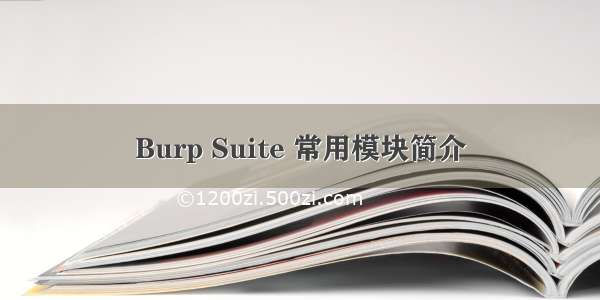 Burp Suite 常用模块简介