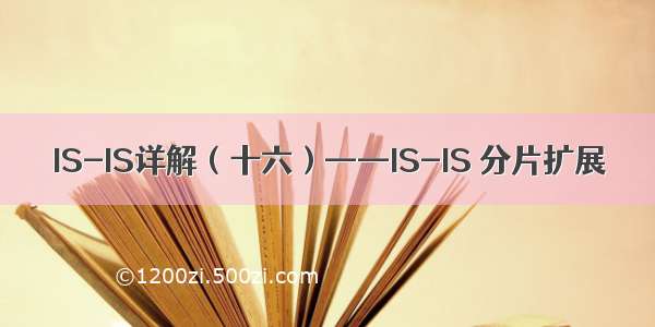 IS-IS详解（十六）——IS-IS 分片扩展