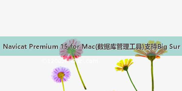 Navicat Premium 15 for Mac(数据库管理工具)支持Big Sur