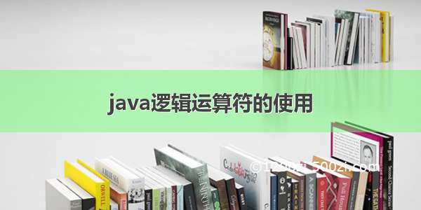 java逻辑运算符的使用