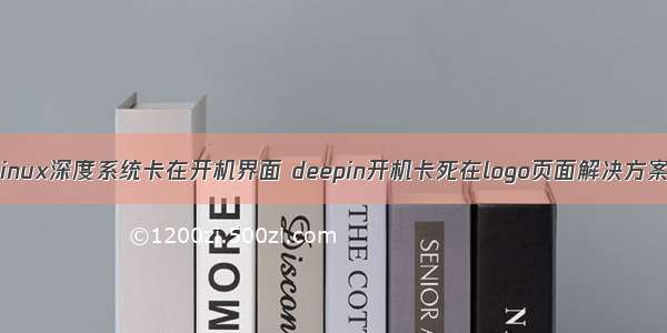 Linux深度系统卡在开机界面 deepin开机卡死在logo页面解决方案