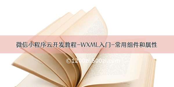 微信小程序云开发教程-WXML入门-常用组件和属性