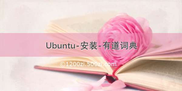 Ubuntu-安装-有道词典