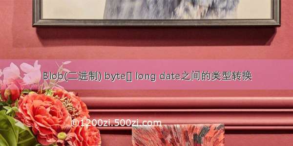 Blob(二进制) byte[] long date之间的类型转换