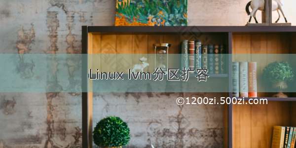 Linux lvm分区扩容