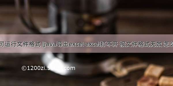 java导出可运行文件格式 |java导出excel excel打不开 报文件格式无效 怎么解决！...